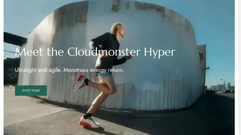 Screenshot of Non-Delivery scam website Isonshoes.com