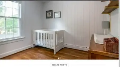 Screenshot of Non-Delivery scam website Itbabyschardt.com