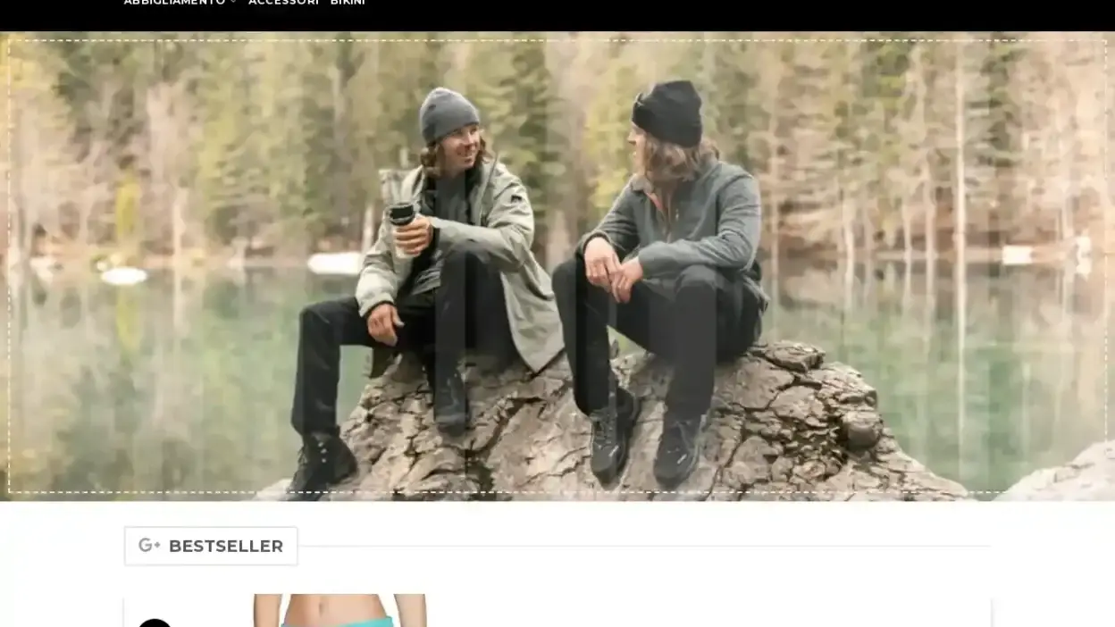 Screenshot of Non-Delivery scam website Itprotest.com