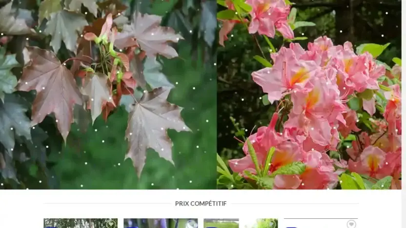 Screenshot of Non-Delivery scam website Jardinagesoldes.com