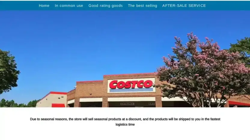 Screenshot of Non-Delivery scam website Jinshenxiaohuo.shop