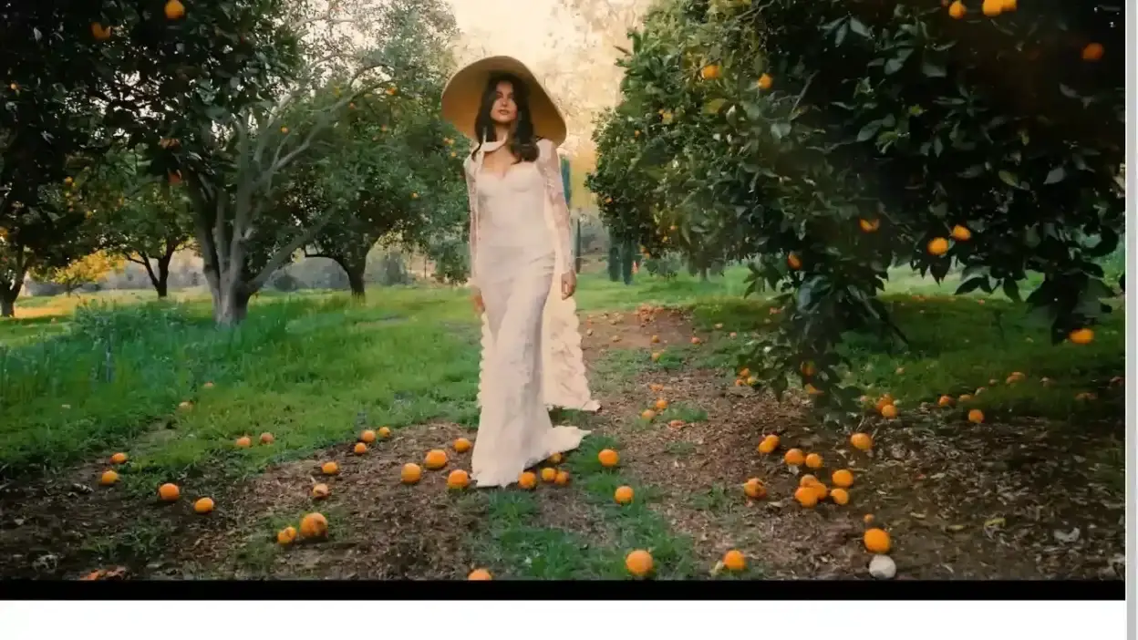 Screenshot of Non-Delivery scam website Joannsvg.shop