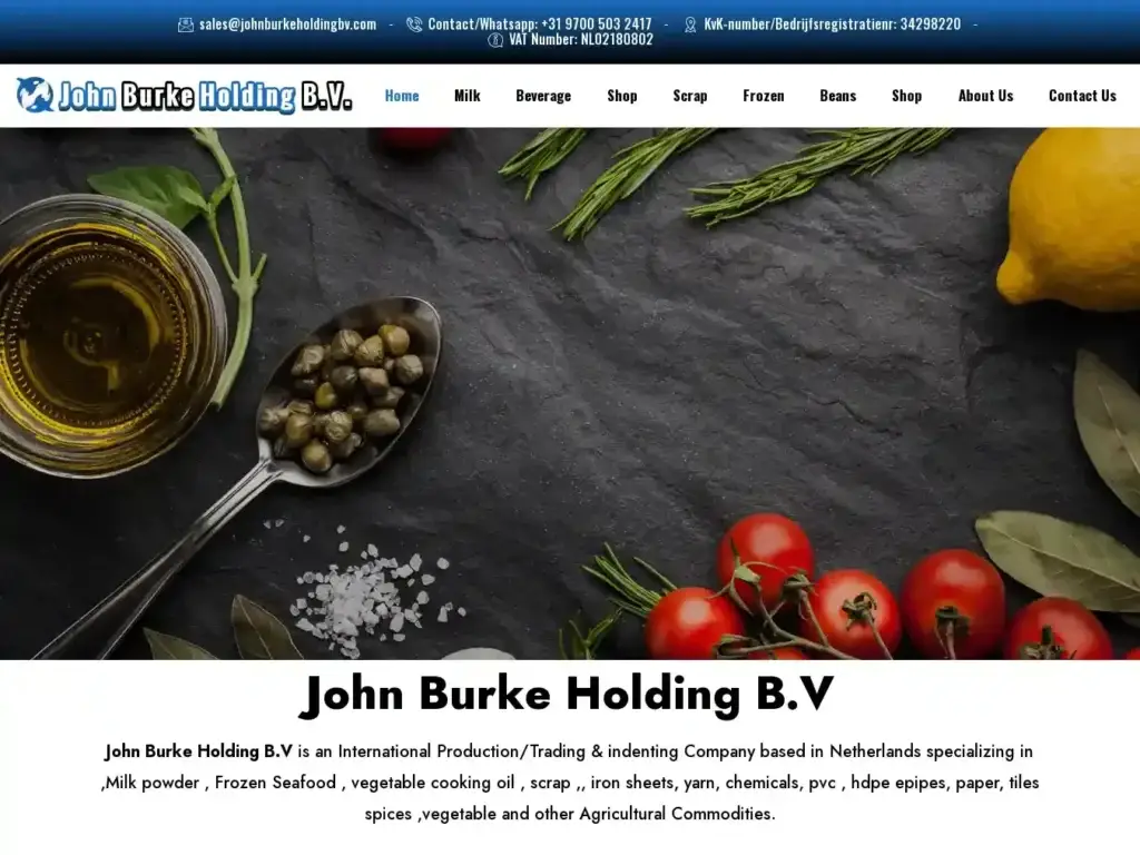 johnburkeholdingbv-com Alternative Text