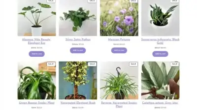 Screenshot of Non-Delivery scam website Joshc.site