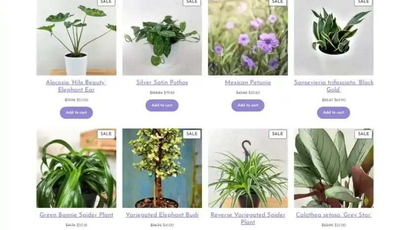 Screenshot of Non-Delivery scam website Joshc.site