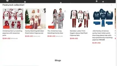 Screenshot of Non-Delivery scam website Juokifeal.shop