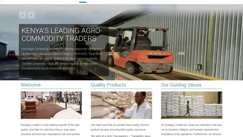 Screenshot of Commodity scam website Kendagolimited.com