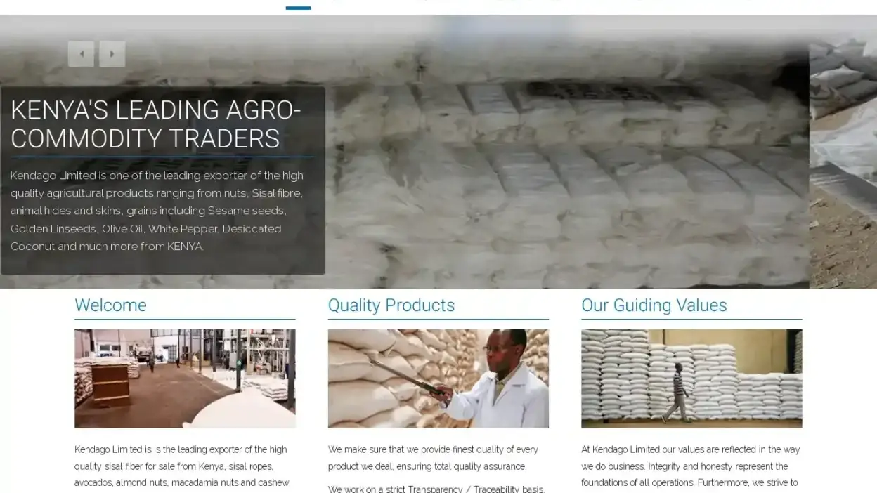 Screenshot of Non-Delivery scam website Kendagoltd.com