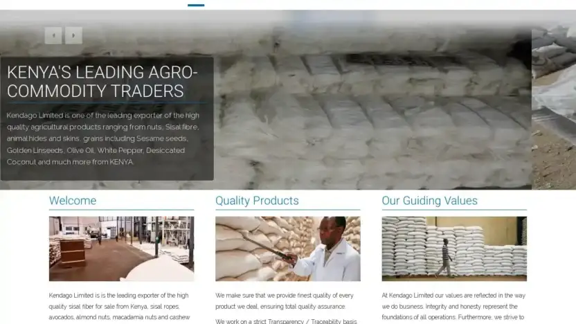 Screenshot of Non-Delivery scam website Kendagoltd.com