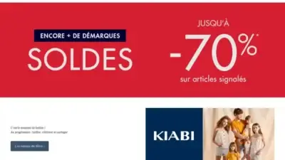 Screenshot of Non-Delivery scam website Kiabivipshop.com