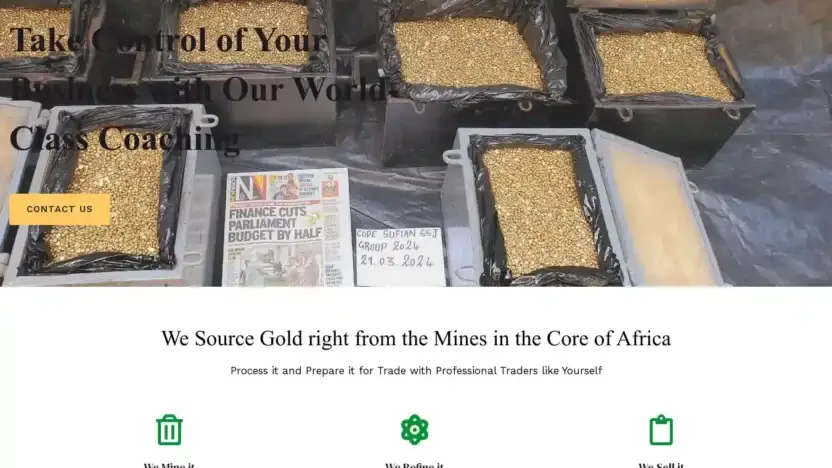 Screenshot of Non-Delivery scam website Kingofmetals.com