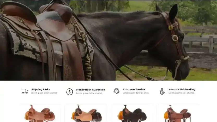 Screenshot of Non-Delivery scam website Kingsaddle.com