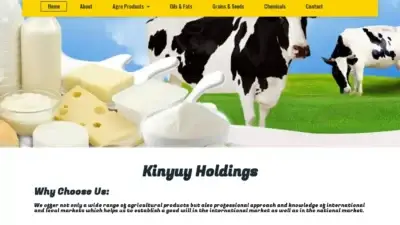 Screenshot of Non-Delivery scam website Kinyuyholdings.com