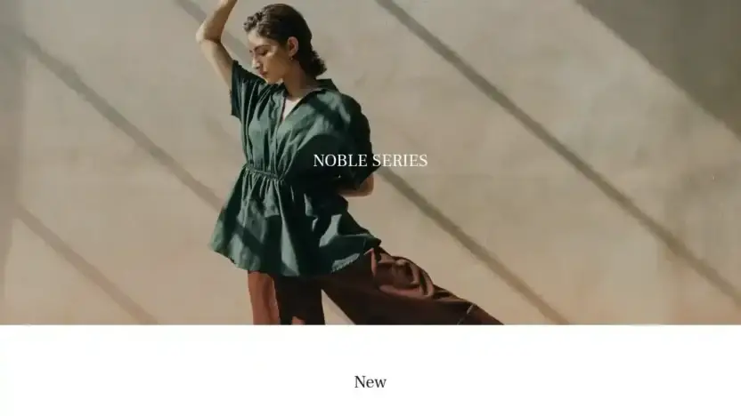 Screenshot of Non-Delivery scam website Kivulirudiakallc.com