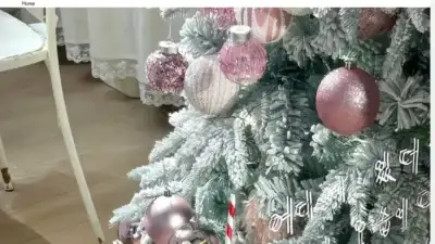 Screenshot of Non-Delivery scam website Krakau.shop