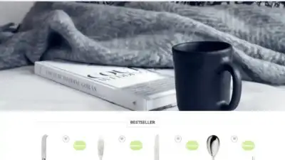 Screenshot of Non-Delivery scam website Kuchewebsite.com