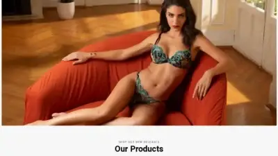 Screenshot of Non-Delivery scam website Ladyclotheingshop.com