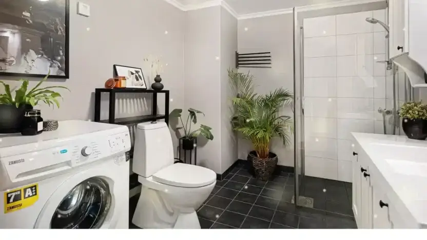 Screenshot of Non-Delivery scam website Landhomedecor.com