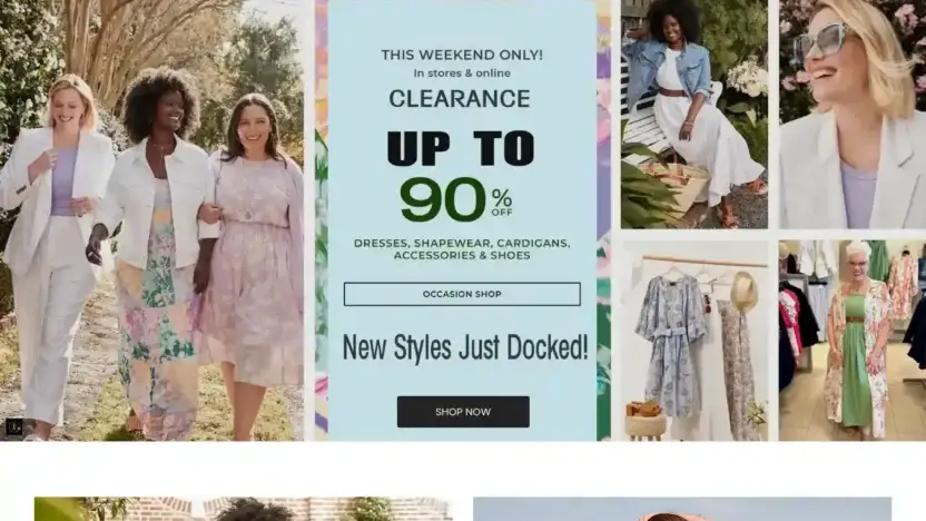 Screenshot of Non-Delivery scam website Lanebryantus.com