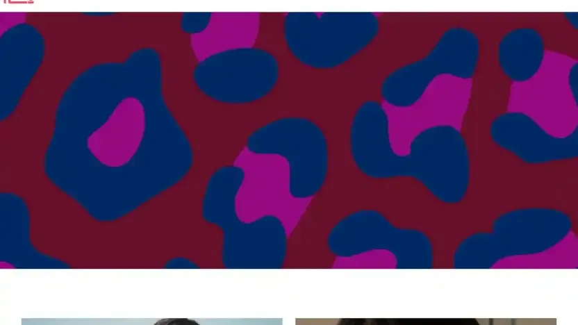 Screenshot of Non-Delivery scam website Laredoutesale.shop