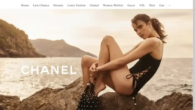 Screenshot of Non-Delivery scam website Lastchance-bagoff5th.com