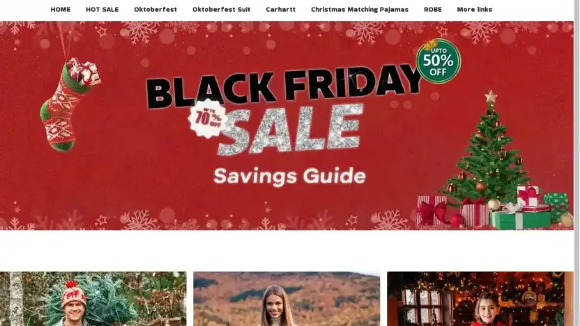 Screenshot of Non-Delivery scam website Letschic.store