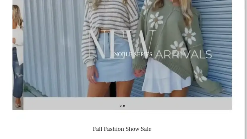 Screenshot of Non-Delivery scam website Letumishop.com