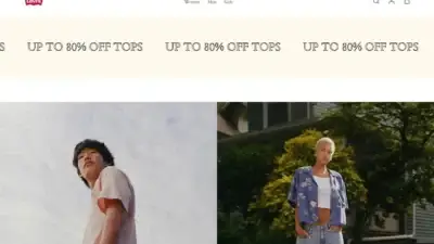 Screenshot of Non-Delivery scam website Levivip.shop