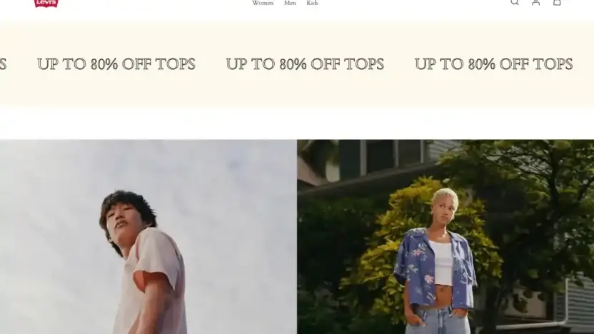 Screenshot of Non-Delivery scam website Levivip.shop