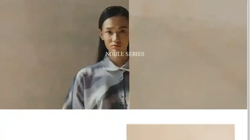 Screenshot of Non-Delivery scam website Lianlian2-shopyy.com