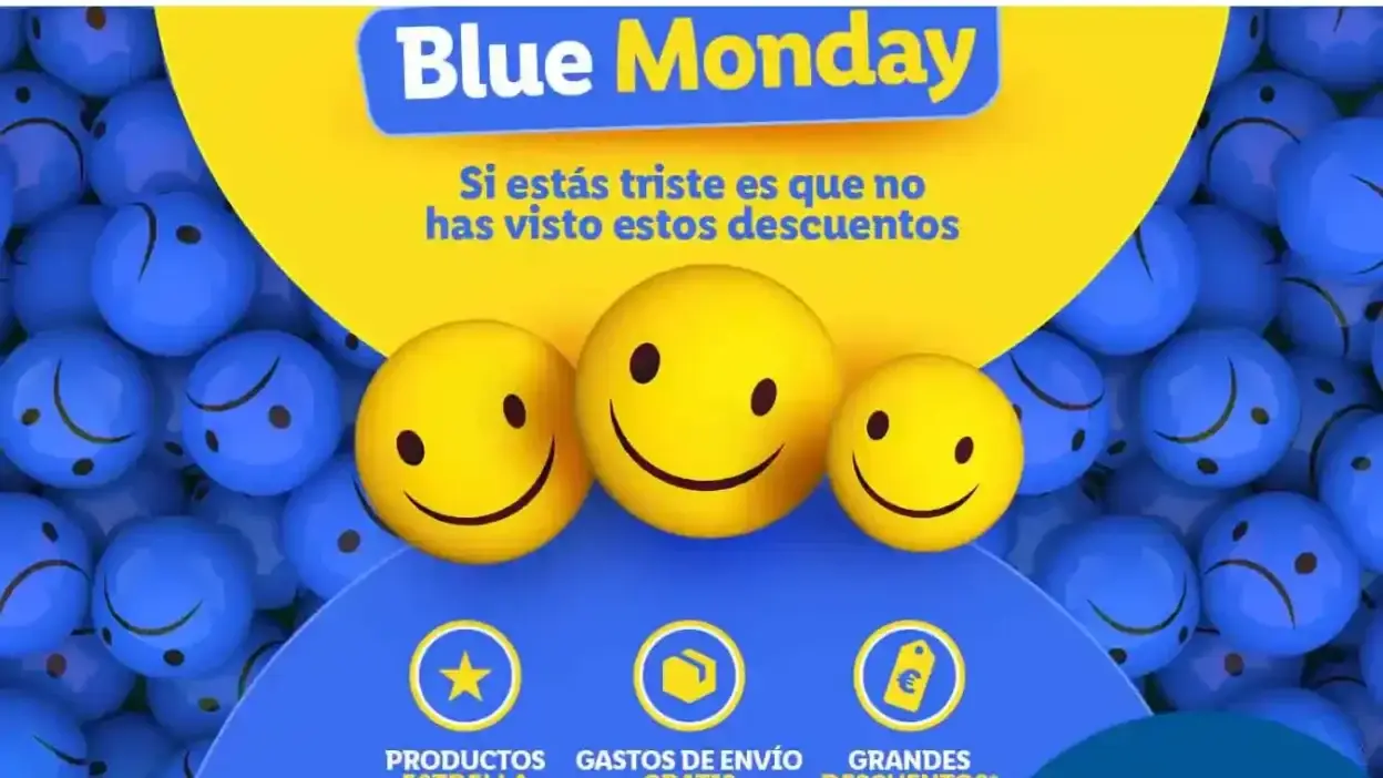 Screenshot of Non-Delivery scam website Lidlessale.com