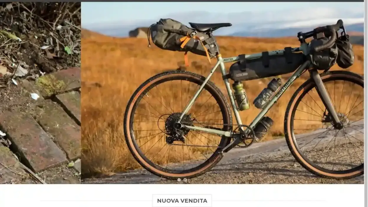 Screenshot of Non-Delivery scam website Lifelinebici.com