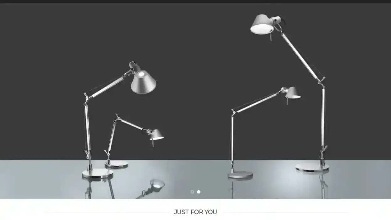Screenshot of Non-Delivery scam website Lightcanarm.com