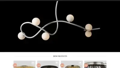 Screenshot of Non-Delivery scam website Lightingelegant.com