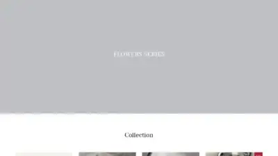 Screenshot of Non-Delivery scam website Livingfurniture66.com