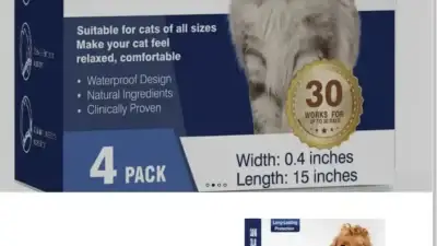 Screenshot of Non-Delivery scam website Liwenqi.shop