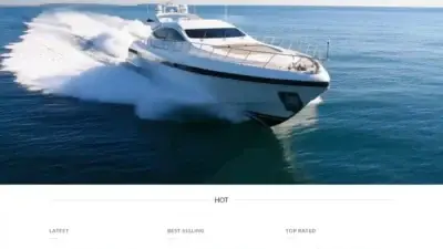 Screenshot of Non-Delivery scam website Lizakoshys.com