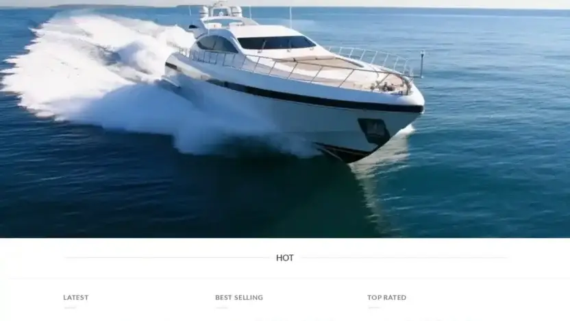 Screenshot of Non-Delivery scam website Lizakoshys.com