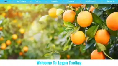 Screenshot of Non-Delivery scam website Logan-trading.com