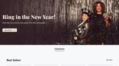 Screenshot of Non-Delivery scam website Lonngefyeurope.site