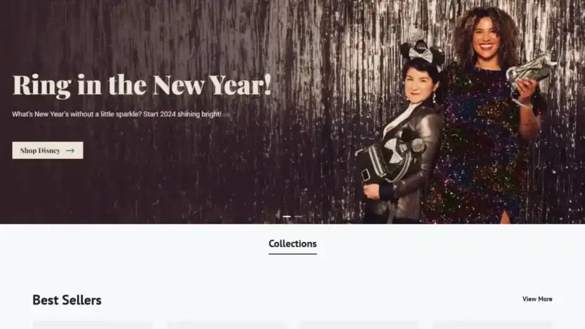 Screenshot of Non-Delivery scam website Lonngefyeurope.site