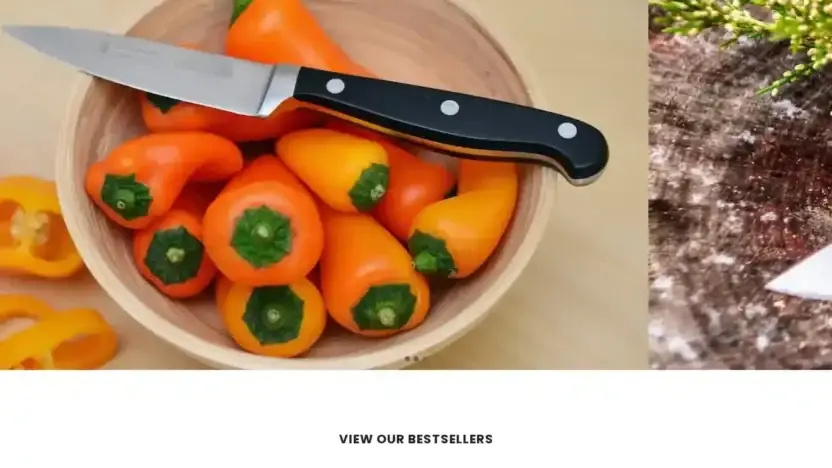 Screenshot of Non-Delivery scam website Looseknives.com