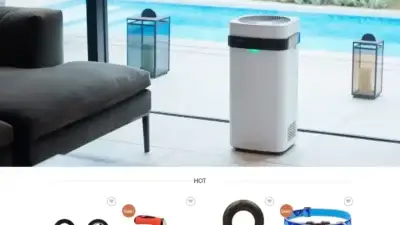 Screenshot of Non-Delivery scam website Lorengrays.com