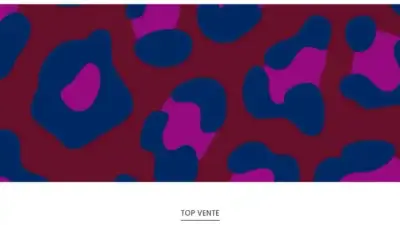 Screenshot of Non-Delivery scam website Lrsalesfr.shop