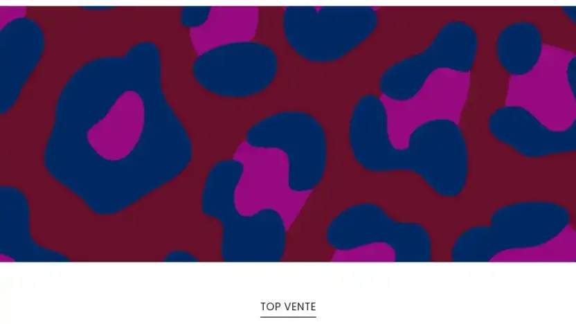 Screenshot of Non-Delivery scam website Lrsalesfr.shop