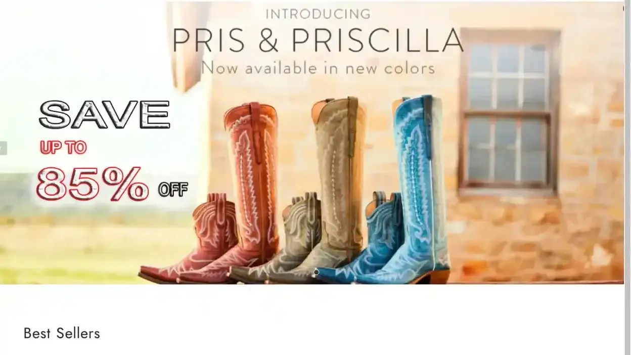 Screenshot of Non-Delivery scam website Luccheseboots.shop