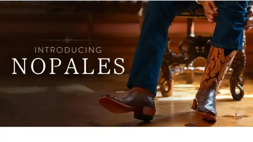 Screenshot of Non-Delivery scam website Luccheseusstore.com