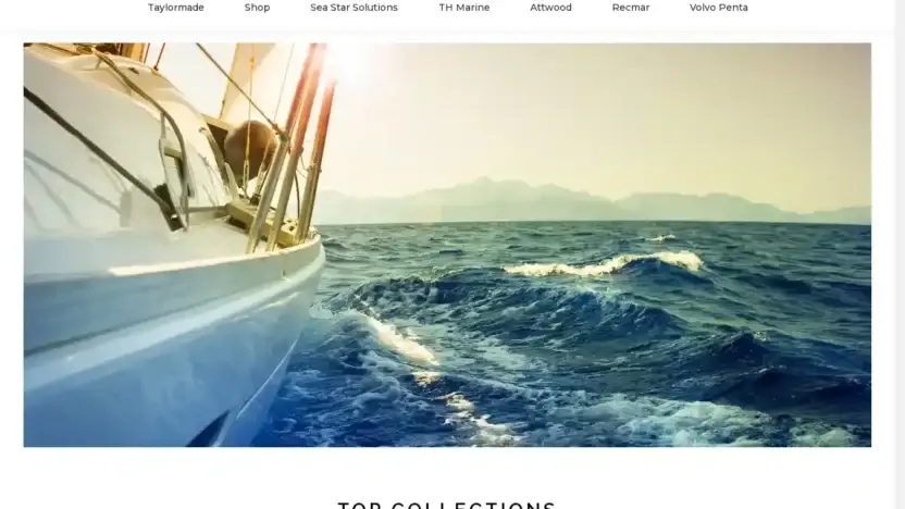 Screenshot of Non-Delivery scam website Luckmarinesupply.com