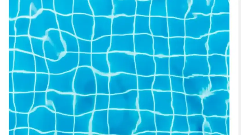 Screenshot of Non-Delivery scam website Luckyswimming.com