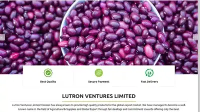 Screenshot of Non-Delivery scam website Lutronventureslimited.com